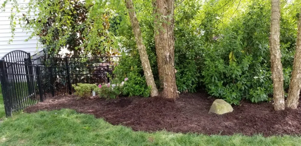 Custom yard maintenance for residential properties across Monroe, NC - Tarheel Turf Lawn Care & Maintenance