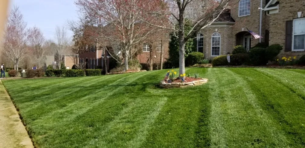 Reliable yard maintenance in Monroe, NC by Tarheel Turf Lawn Care & Maintenance