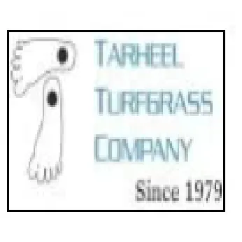 Reliable lawn care service for residential properties across Dover, NC - Tarheel Turfgrass