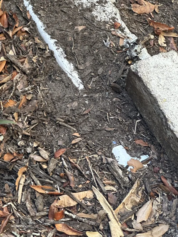 Reliable residential landscaping for residential properties in St. Petersburg, FL by Tarpon Lawn And Pest