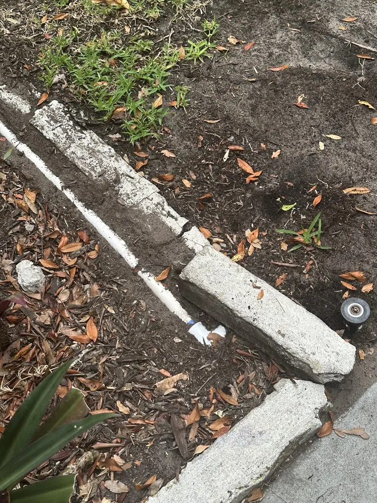 Affordable residential landscaping experts serving St. Petersburg, FL - Tarpon Lawn And Pest