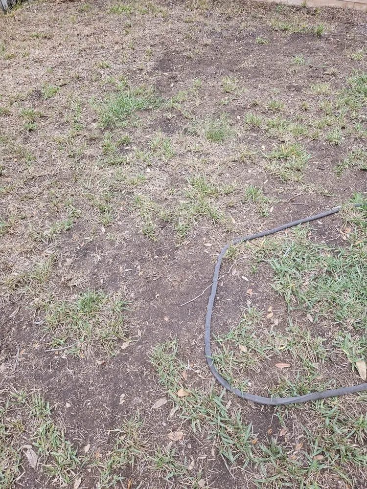 Top-rated landscape installation experts serving St. Petersburg, FL - Tarpon Lawn And Pest