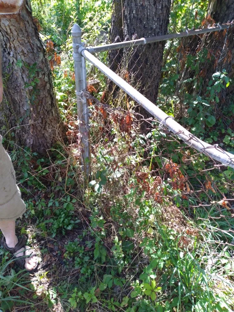 Expert landscape installation in Olean, NY by Tarr contracting and landscaping