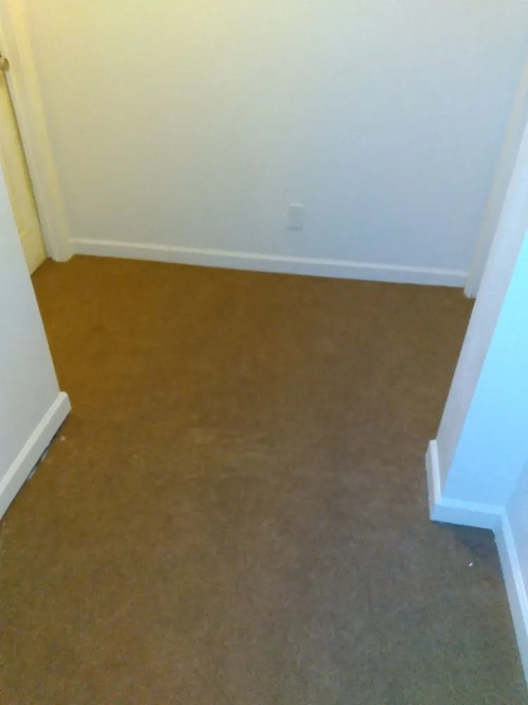 Trusted yard cleanup service in Olean, NY - Tarr contracting and landscaping