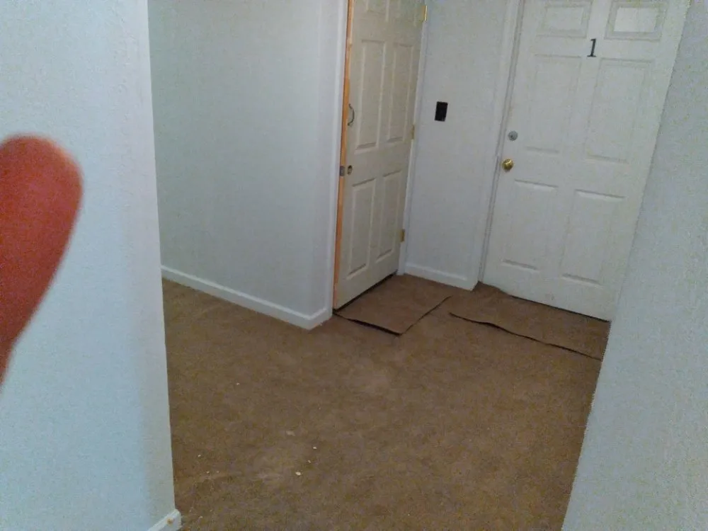 Professional landscape design for homes across Olean, NY - Tarr contracting and landscaping