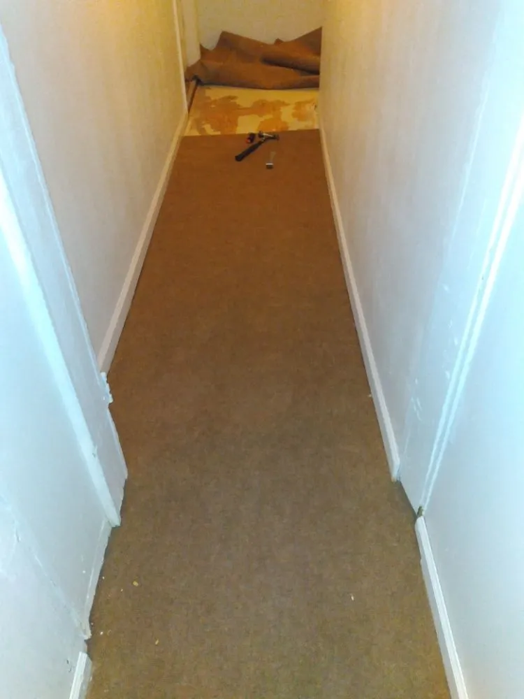 Trusted yard cleanup service experts serving Olean, NY - Tarr contracting and landscaping