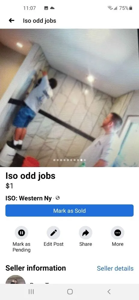 Local landscaping services for outdoor upgrades in Olean, NY by Tarr contracting and landscaping