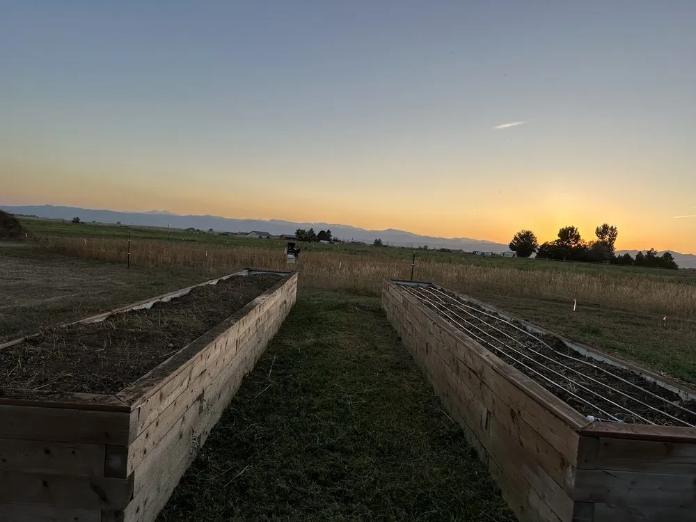 Top-rated lawn care service in Wellington, CO - Tarr Property Services