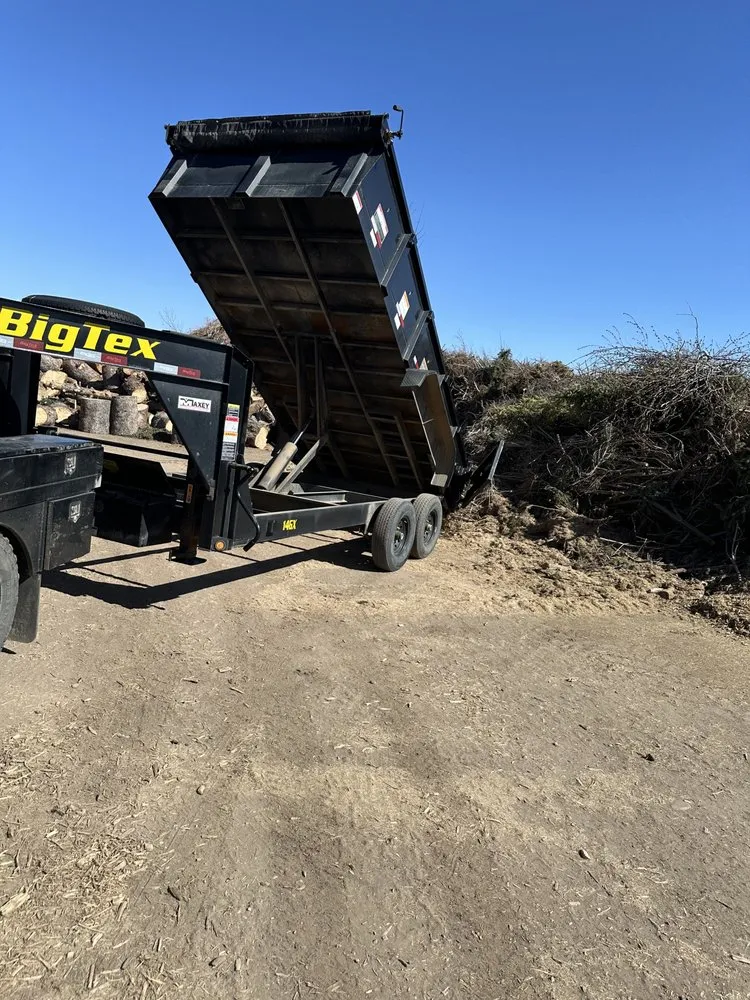 Expert lawn care service in Wellington, CO by Tarr Property Services