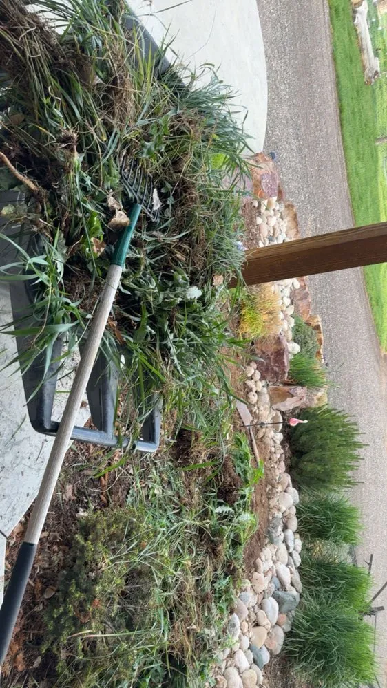 Reliable lawn mowing service near you in Wellington, CO by Tarr Property Services