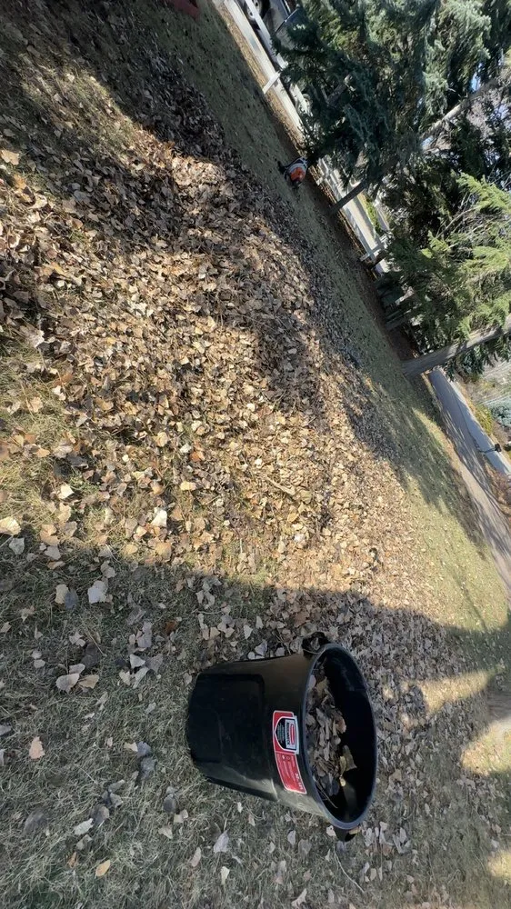 Local landscape design near you across Wellington, CO - Tarr Property Services