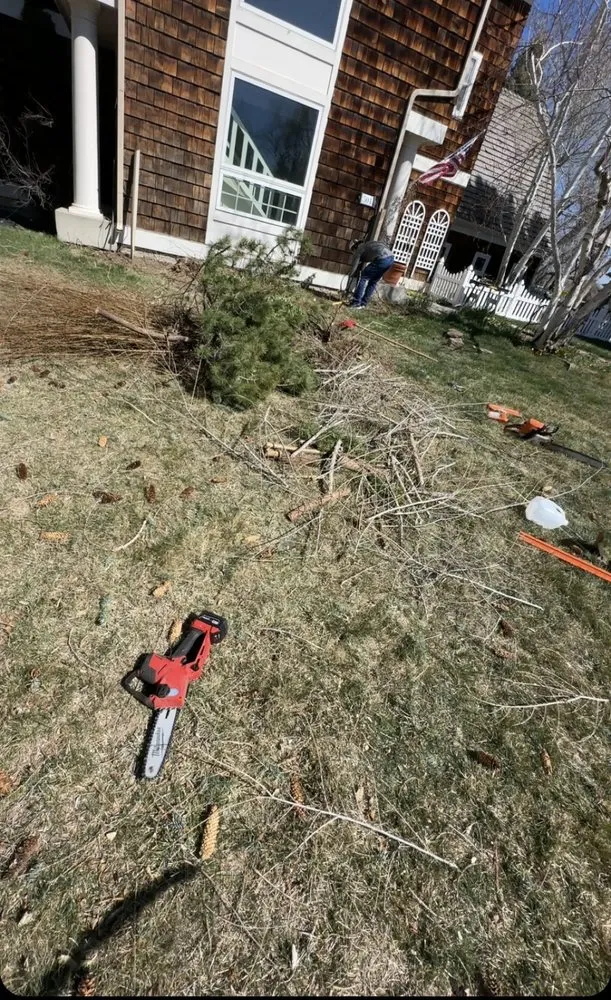 Affordable lawn care service in Wellington, CO - Tarr Property Services