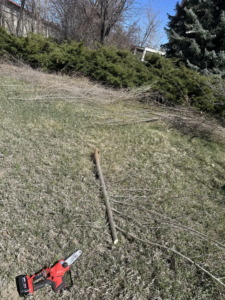 Top-rated landscape design with custom design across Wellington, CO - Tarr Property Services