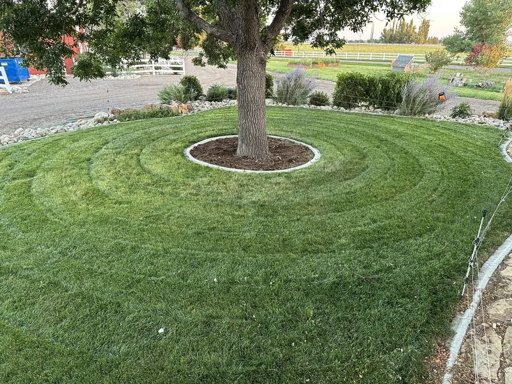Trusted outdoor landscaping with custom design across Wellington, CO - Tarr Property Services