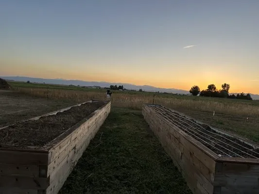 Tarr Property Services