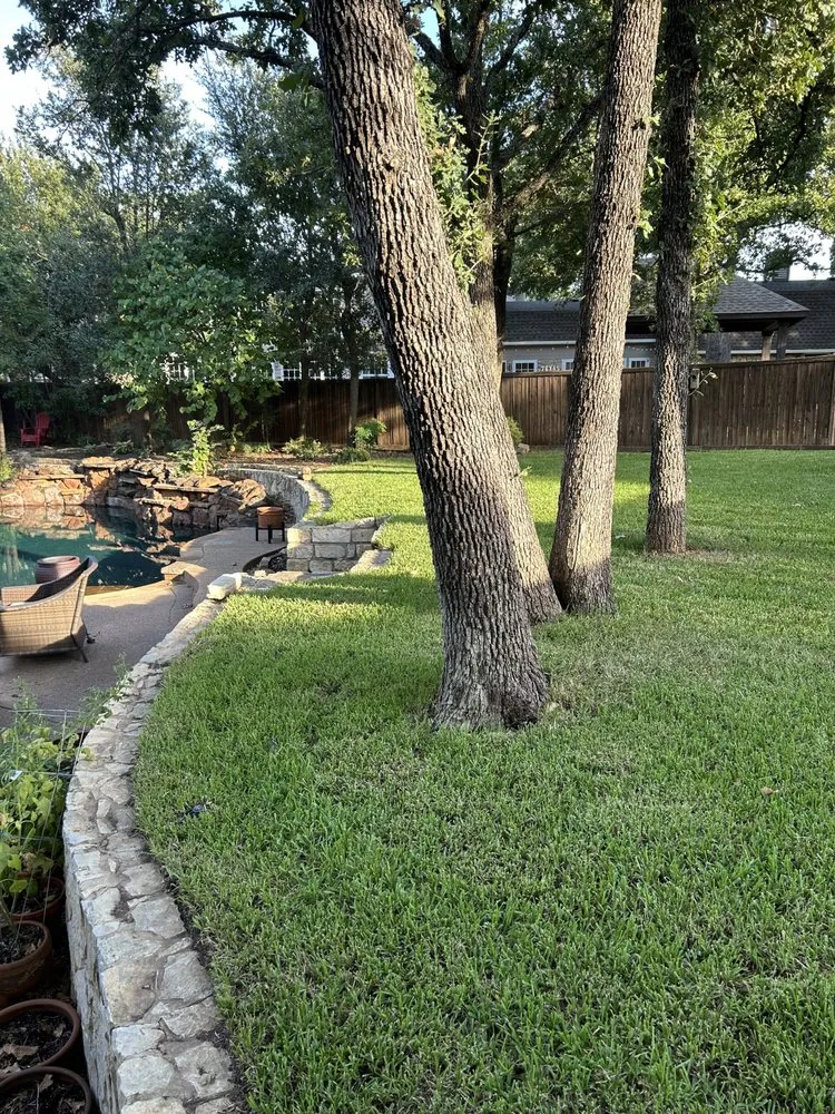 Trusted yard cleanup service in Abilene, TX - Tarrant Landscaping