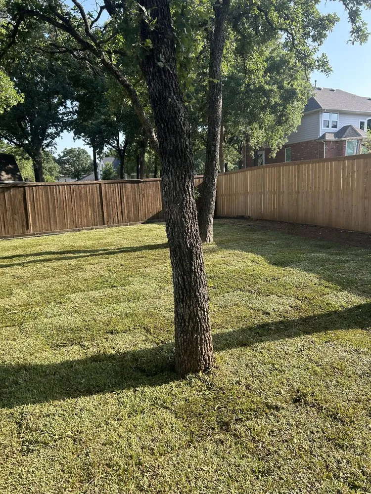 Custom residential landscaping for beautiful yards across Abilene, TX - Tarrant Landscaping