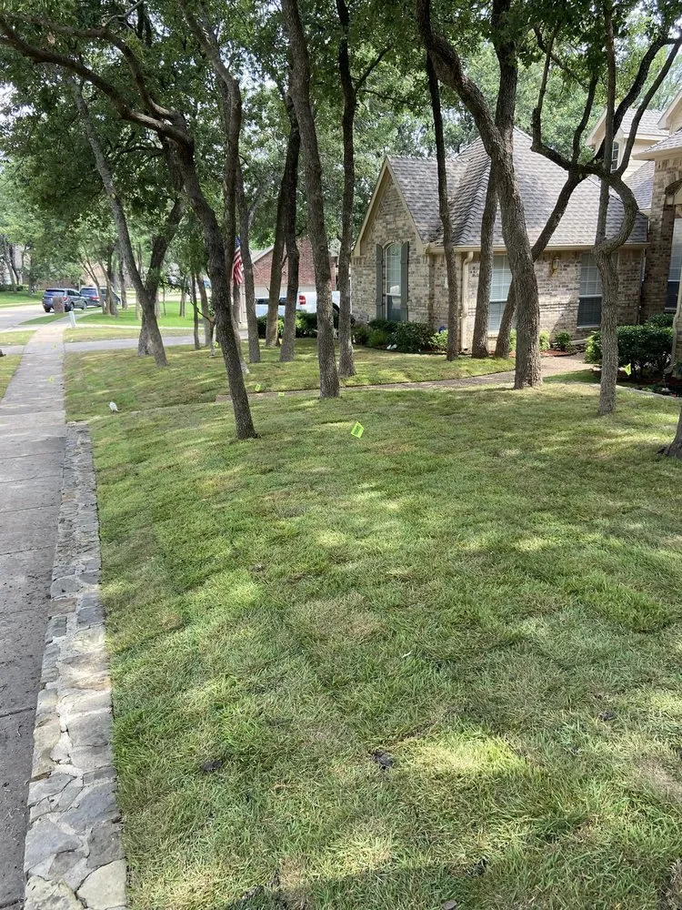 Reliable outdoor landscaping experts serving Abilene, TX - Tarrant Landscaping