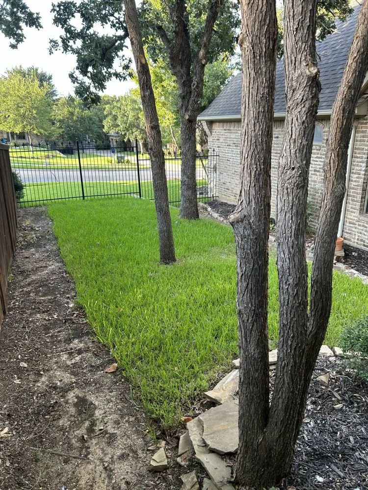 Local landscape installation in Abilene, TX by Tarrant Landscaping