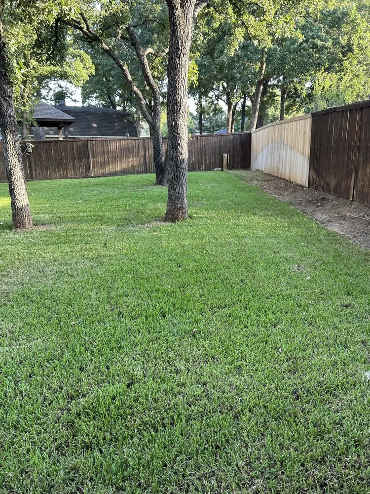 Professional lawn care service in Abilene, TX - Tarrant Landscaping