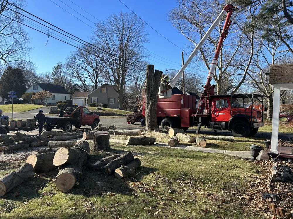 Professional garden landscaping in Bridgeport, CT by Tarsis Landscapings