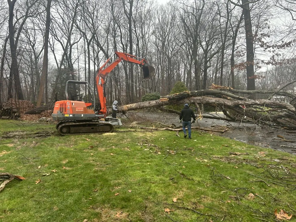 Professional residential landscaping for homes in Bridgeport, CT by Tarsis Landscapings