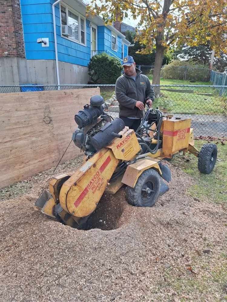 Affordable residential landscaping experts serving Bridgeport, CT - Tarsis Landscapings