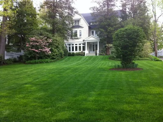 Tarullo Landscaping Logo