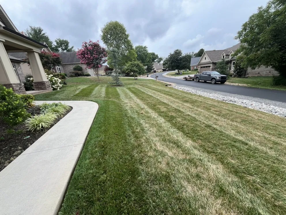 Custom residential landscaping for residential properties in Greenback, TN by Tarwater & Sons Lawn Care