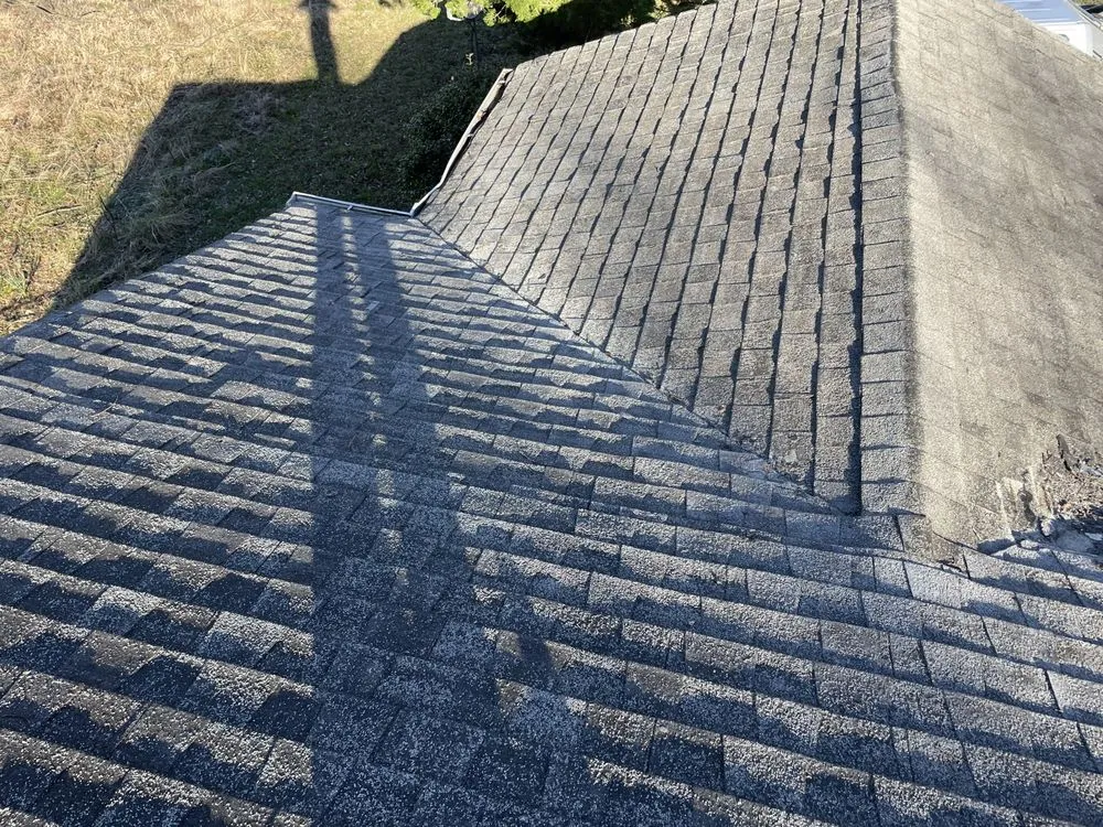 Reliable yard cleanup service for year-round maintenance in Birmingham, AL by Tarwater Services