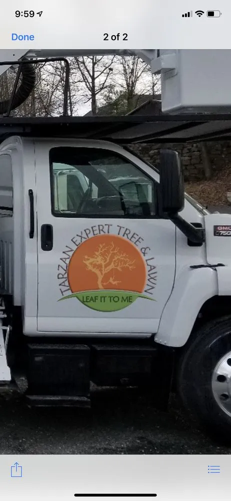 Top-rated yard maintenance in Basking Ridge, NJ - Tarzan Expert Tree and Lawn