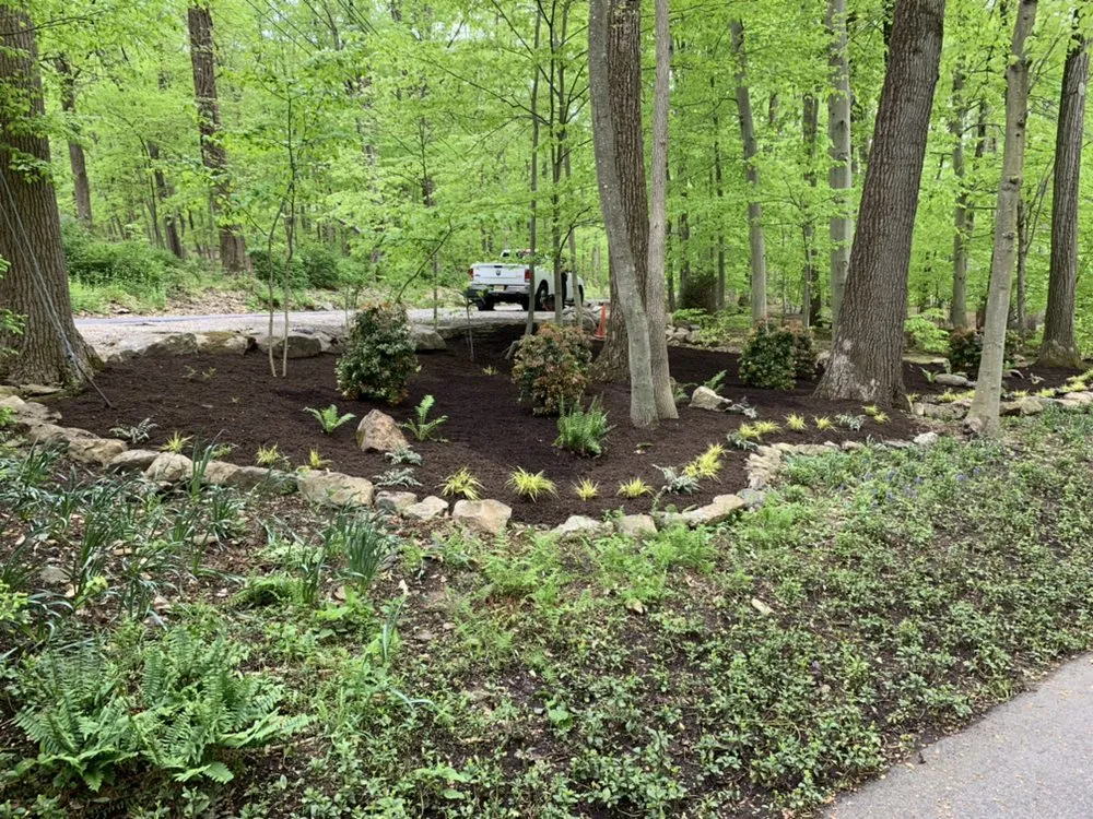 Top-rated landscape installation experts serving Basking Ridge, NJ - Tarzan Expert Tree and Lawn
