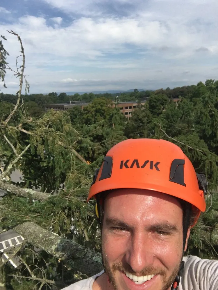 Local landscaping services experts serving Basking Ridge, NJ - Tarzan Expert Tree and Lawn