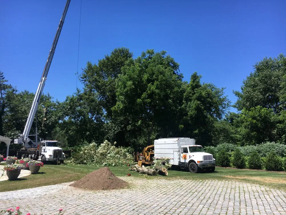 Custom yard maintenance experts serving Basking Ridge, NJ - Tarzan Expert Tree and Lawn
