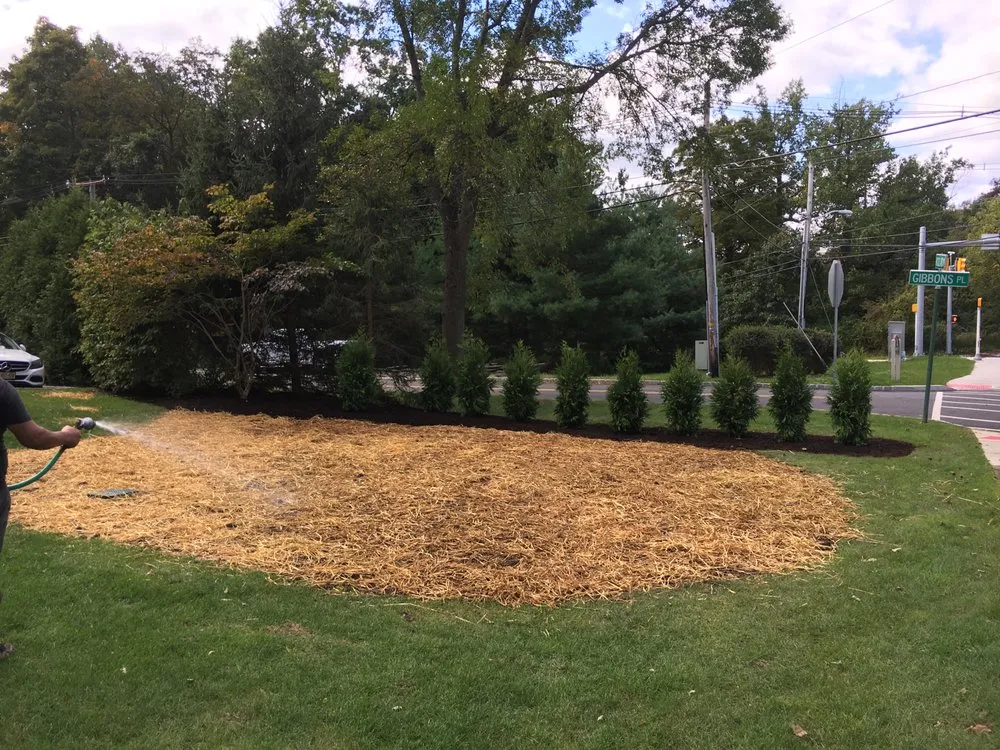 Professional outdoor landscaping in Basking Ridge, NJ - Tarzan Expert Tree and Lawn