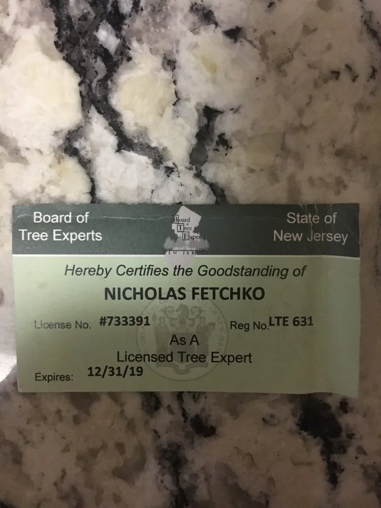 Custom landscape installation experts serving Basking Ridge, NJ - Tarzan Expert Tree and Lawn