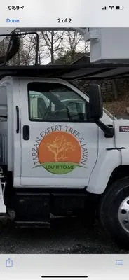 Tarzan Expert Tree and Lawn Logo