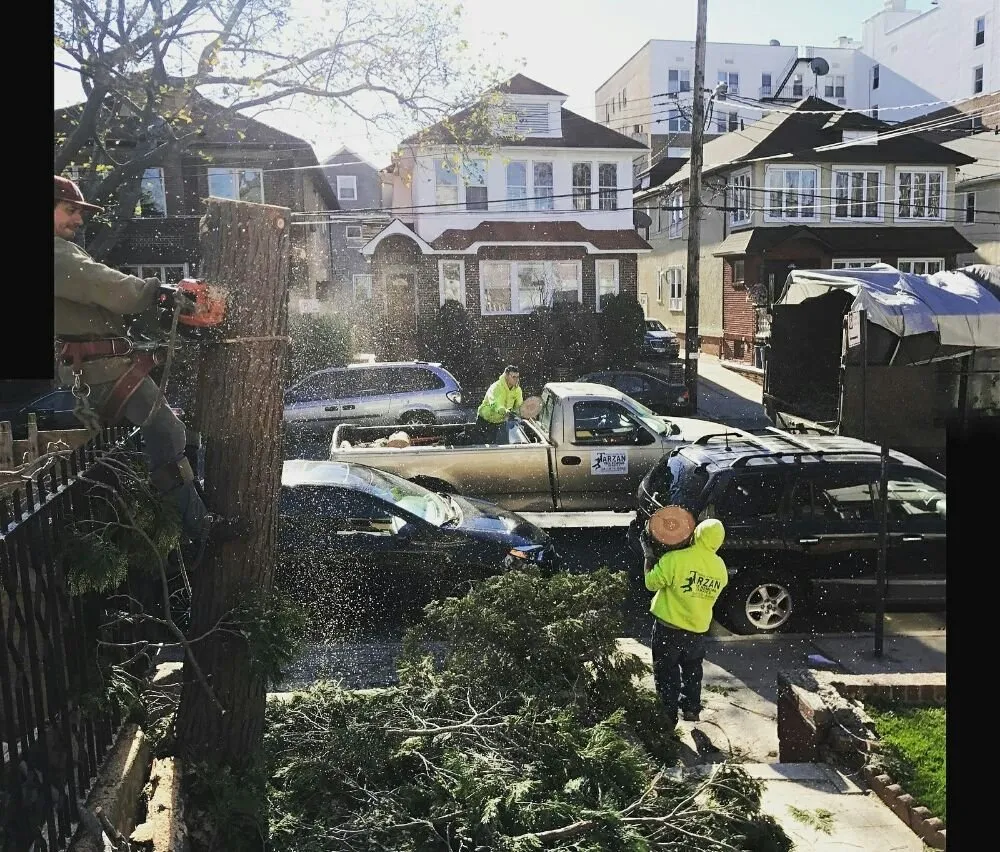 Expert landscape design in Staten Island, NY - Tarzan Tree Removal