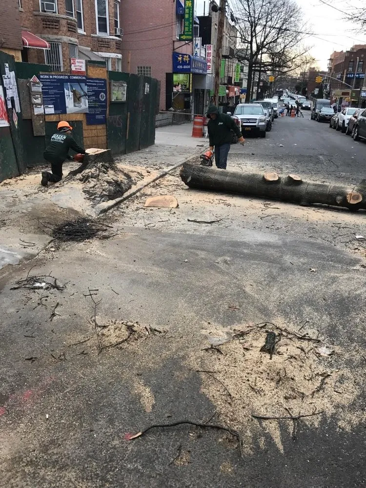 Custom yard cleanup service for residential properties in Staten Island, NY by Tarzan Tree Removal