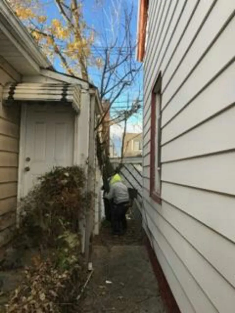 Professional lawn mowing service for outdoor upgrades across Staten Island, NY - Tarzan Tree Removal