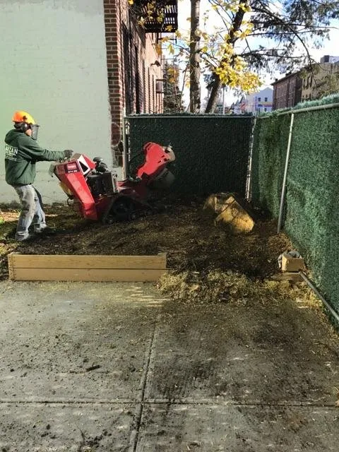 Custom lawn mowing service for residential properties across Staten Island, NY - Tarzan Tree Removal