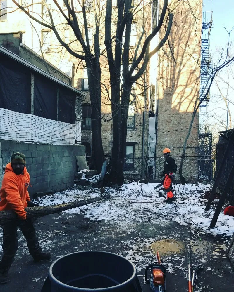 Top-rated landscaping services in Staten Island, NY by Tarzan Tree Removal