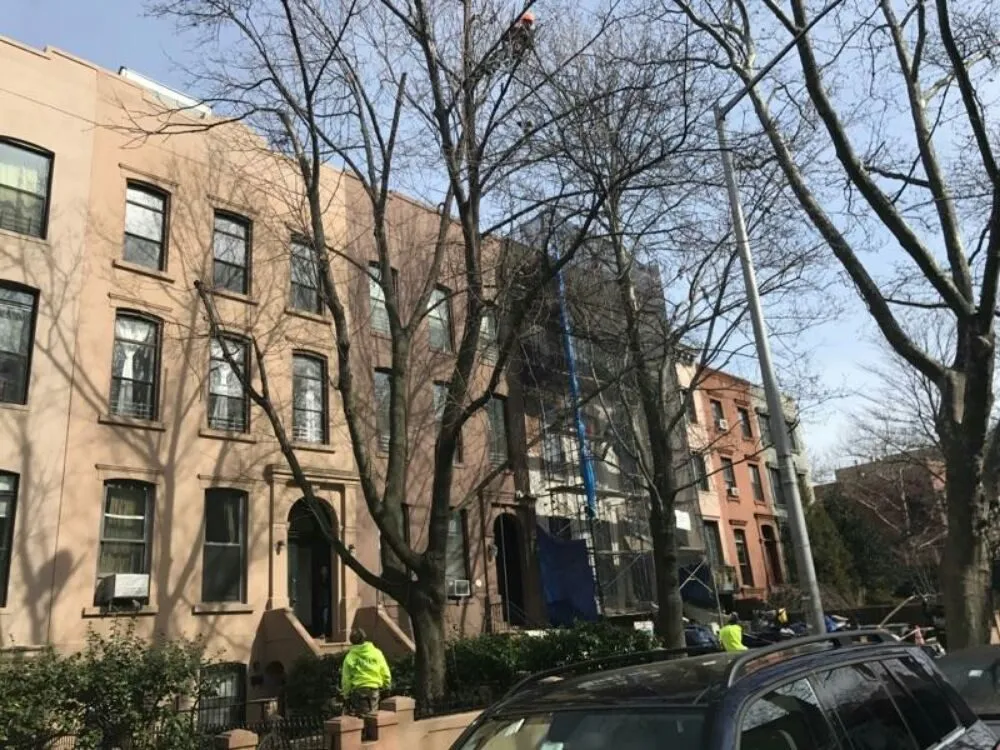 Professional residential landscaping in Staten Island, NY by Tarzan Tree Removal