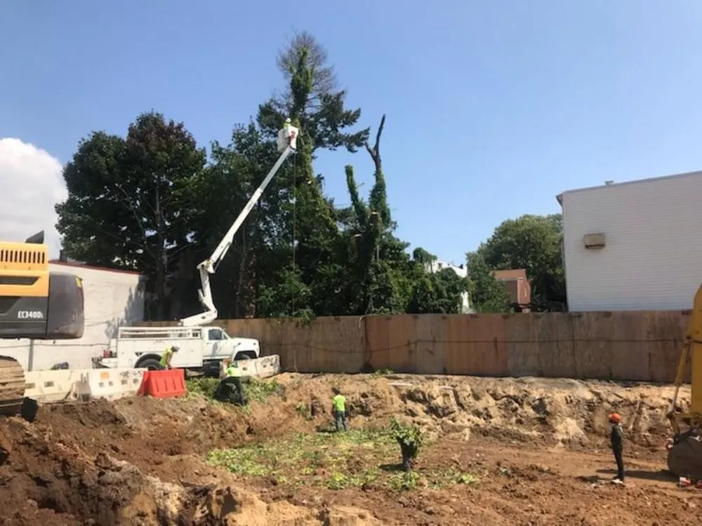 Custom landscaping services for homes in Staten Island, NY by Tarzan Tree Removal