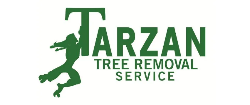 Trusted landscape design near you across Staten Island, NY - Tarzan Tree Removal