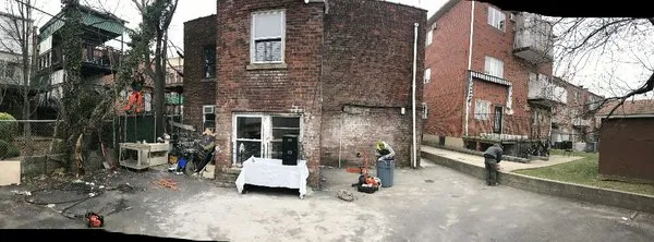 Tarzan Tree Removal Logo