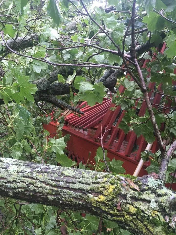 Trusted garden landscaping with custom design in Newburgh, NY by Tarzan Treescaping