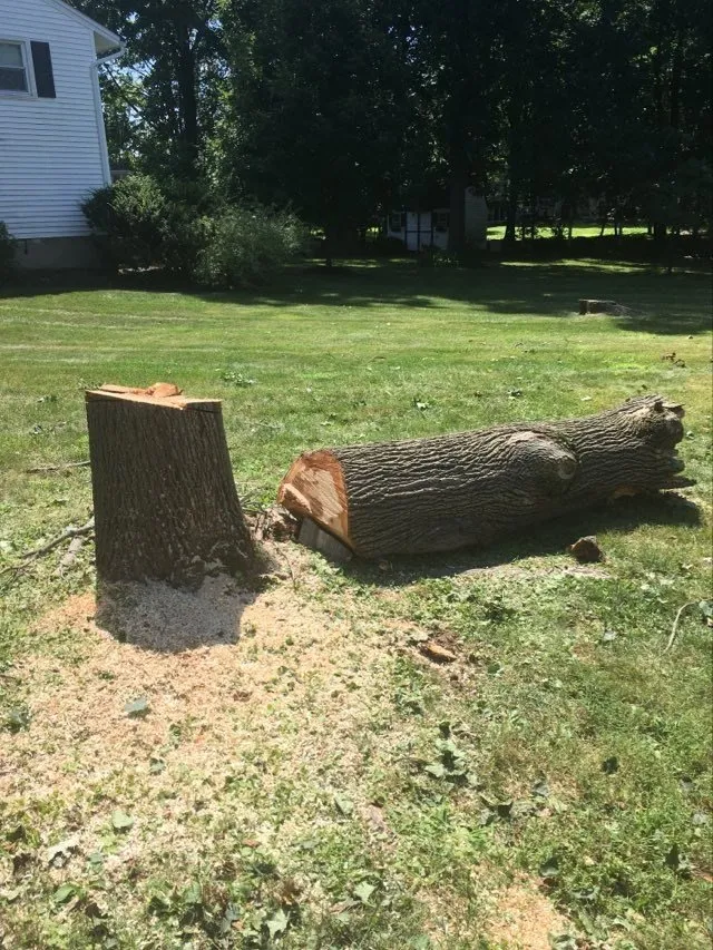 Top-rated garden landscaping in Newburgh, NY by Tarzan Treescaping