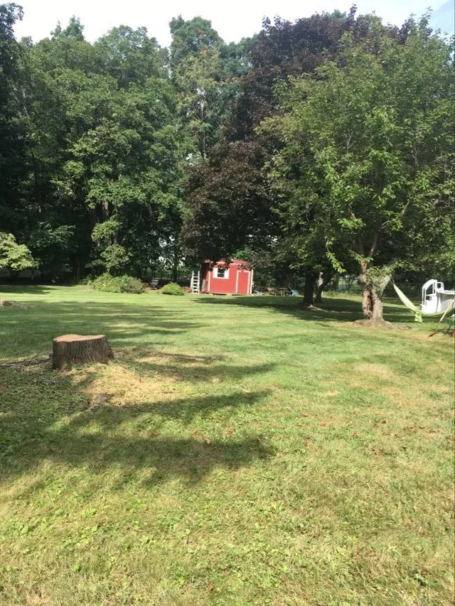 Reliable yard cleanup service experts serving Newburgh, NY - Tarzan Treescaping