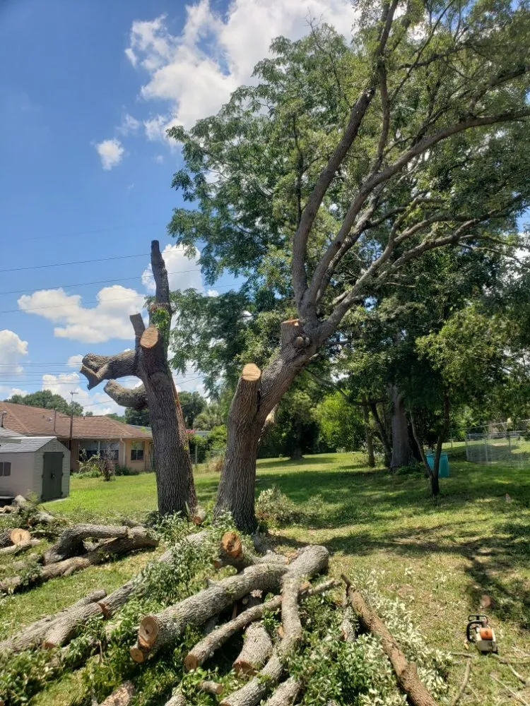 Local lawn mowing service in Dunnellon, FL by Tarzans Lumberjack Service